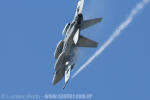 McDonnell Douglas CF-188B Hornet - Foto: Luciano Porto - luciano@spotter.com.br