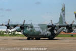 Lockheed SC-130 Hercules do Esquadrão Coral - Foto: Luciano Porto - luciano@spotter.com.br