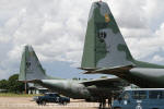 Os emblemas do GTT e da Quinta Força Aérea estão aplicados nos estabilizadores verticais dos Hercules - Foto: Luciano Porto - luciano@spotter.com.br