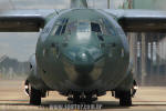 Lockheed SC-130 Hercules do Esquadrão Coral - Foto: Luciano Porto - luciano@spotter.com.br