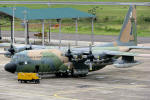 Lockheed KC-130 Hercules do Esquadro Gordo - Foto: Luciano Porto - luciano@spotter.com.br