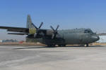 O Lockheed C-130 Hercules do Esquadro Gordo