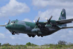 Lockheed C-130M Hercules do Esquadro Gordo - Foto: Equipe SPOTTER