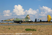 Northrop F-5E Tiger II - FAB - Anpolis - GO - 24/08/06 - Luciano Porto - luciano@spotter.com.br