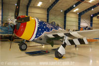 Republic P-47D Thunderbolt - USAAC - Lone Star Flight Museum - Galveston - TX - USA - 06/08/06 - Fabrizio Sartorelli - fabrizio@spotter.com.br